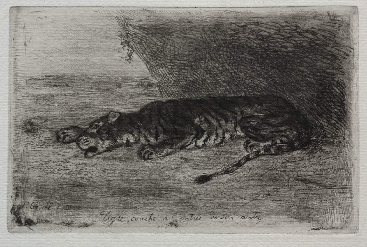 İninin Girişinde Uyuyan Kaplan by Eugène Delacroix