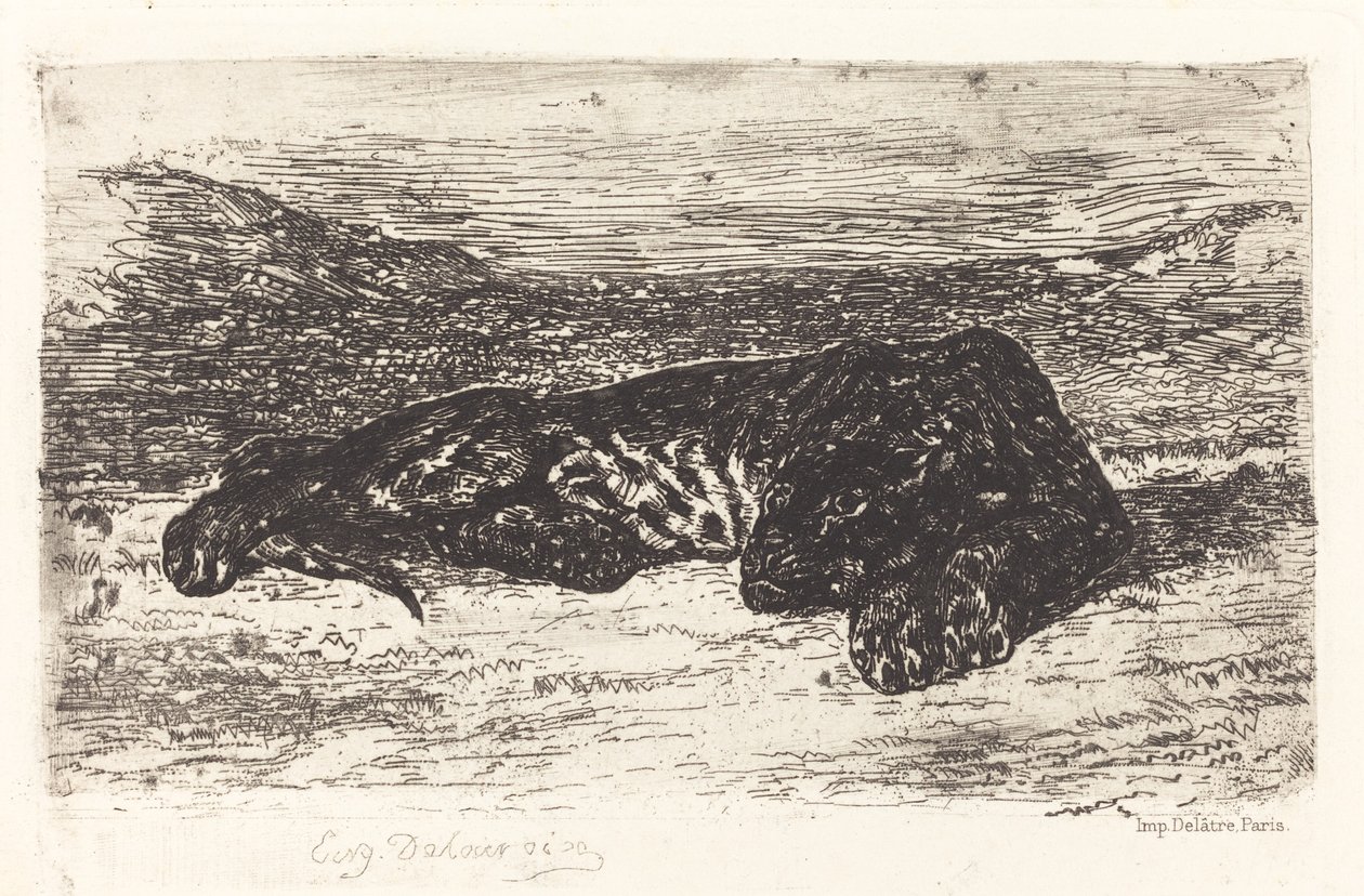 Çölde Uyuyan Kaplan by Eugène Delacroix