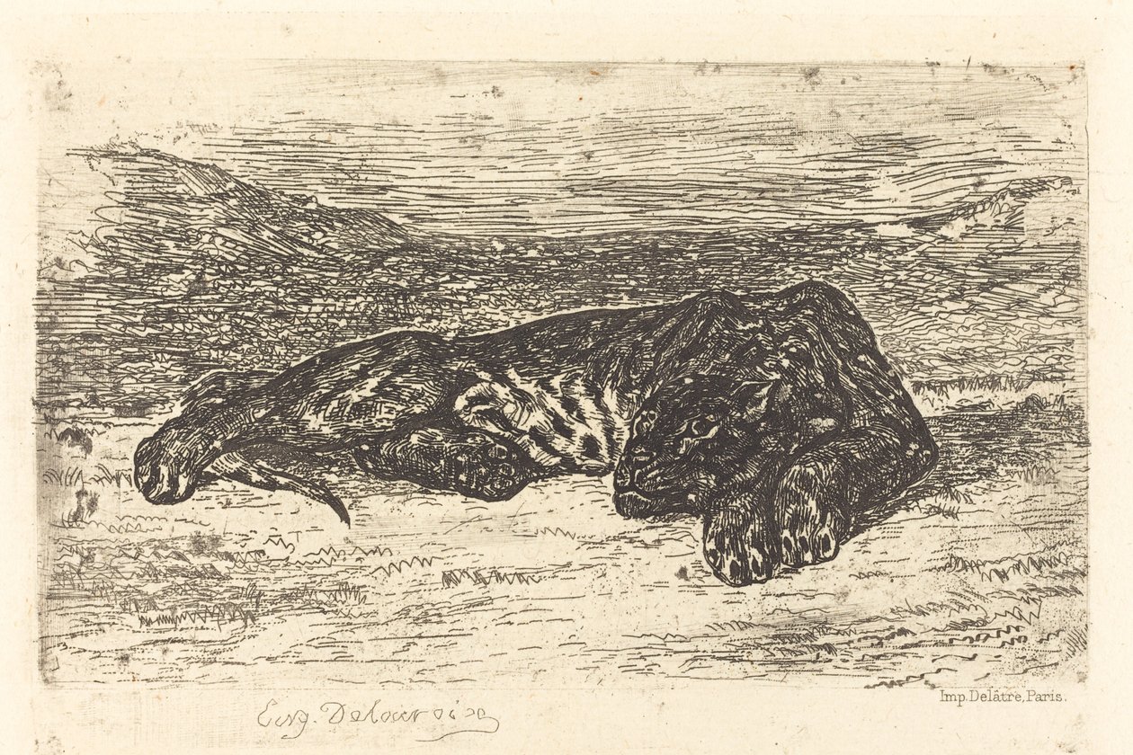 Çölde Uyuyan Kaplan Çölde Uyuyan Kaplan, 1846. by Eugène Delacroix