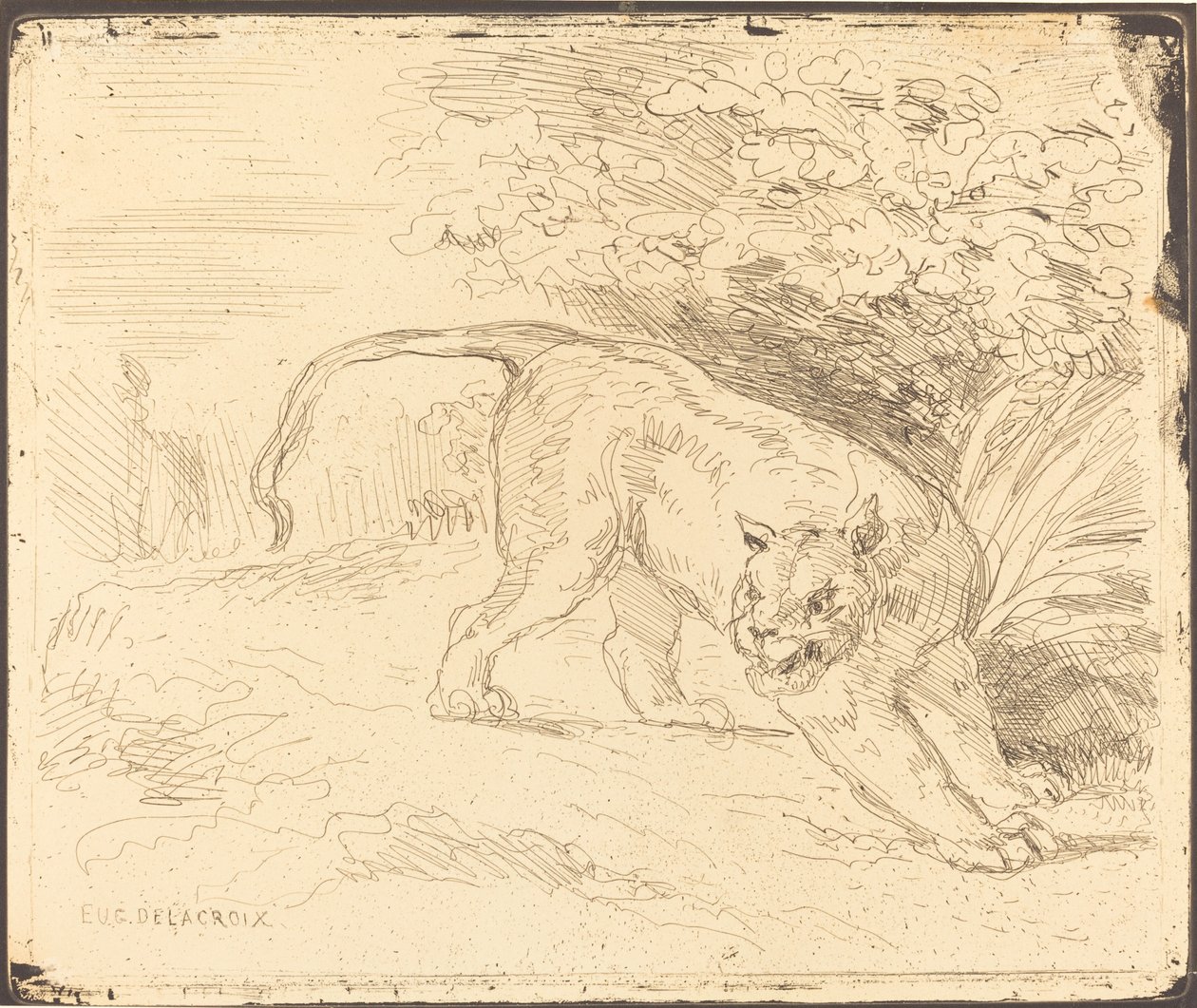 Duran kaplan by Eugène Delacroix