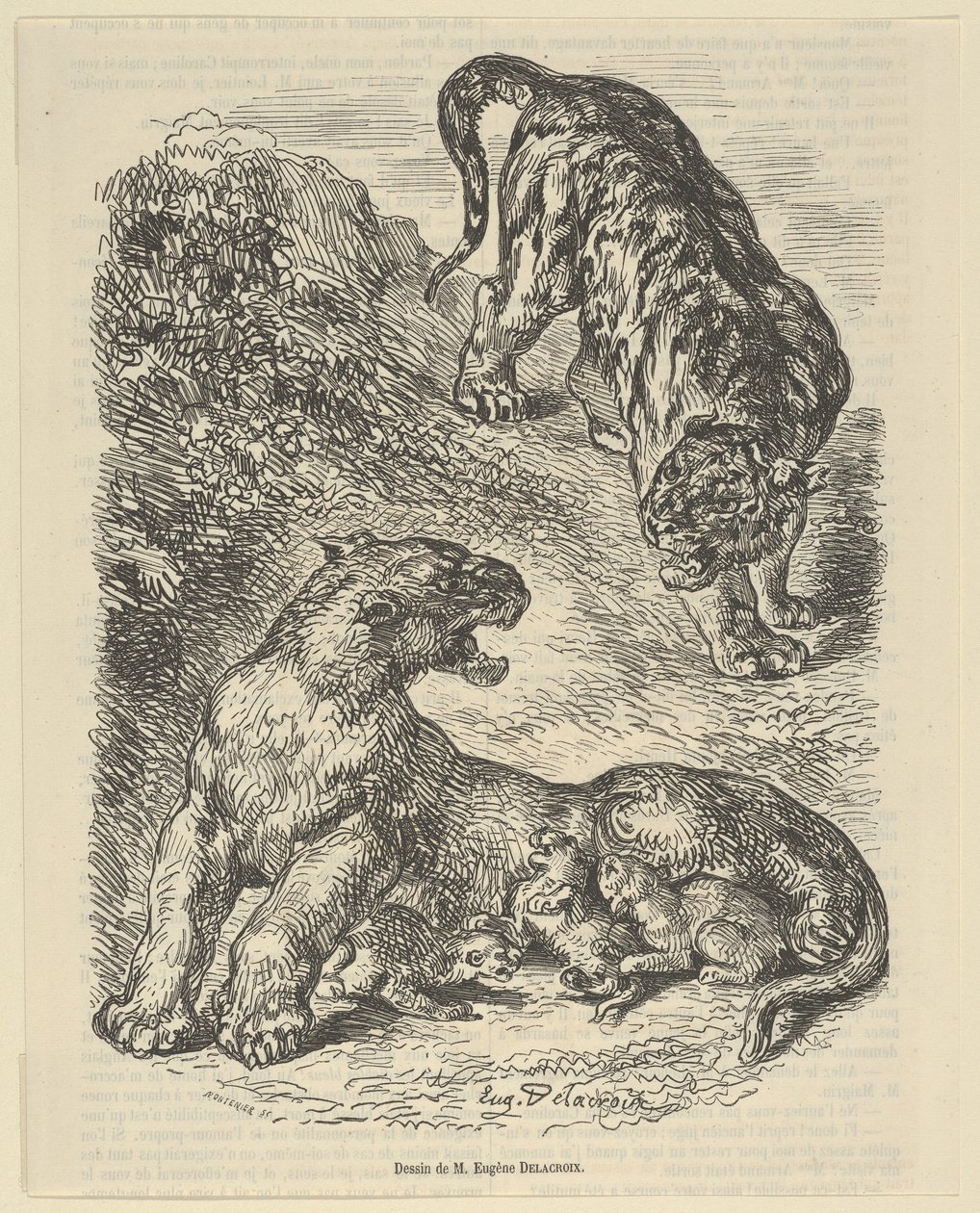 Yavrusunu emzirirken kaplanın saldırısına uğrayan kaplan, 1853., 1853. by Eugène Delacroix