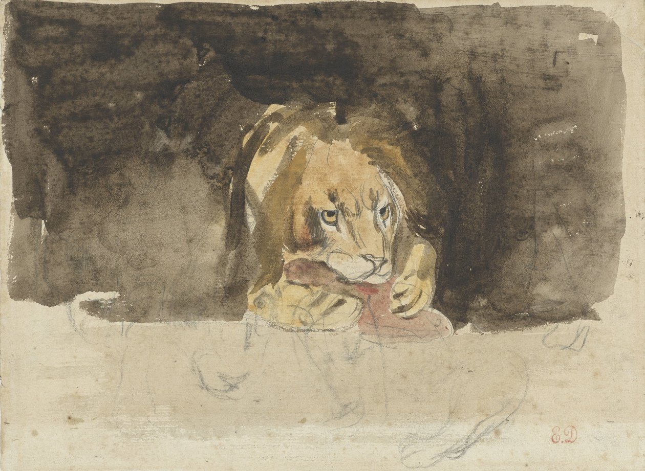 Önden görülen etçil aslan, karanlık bir arka plana karşı çıkıyor by Eugène Delacroix
