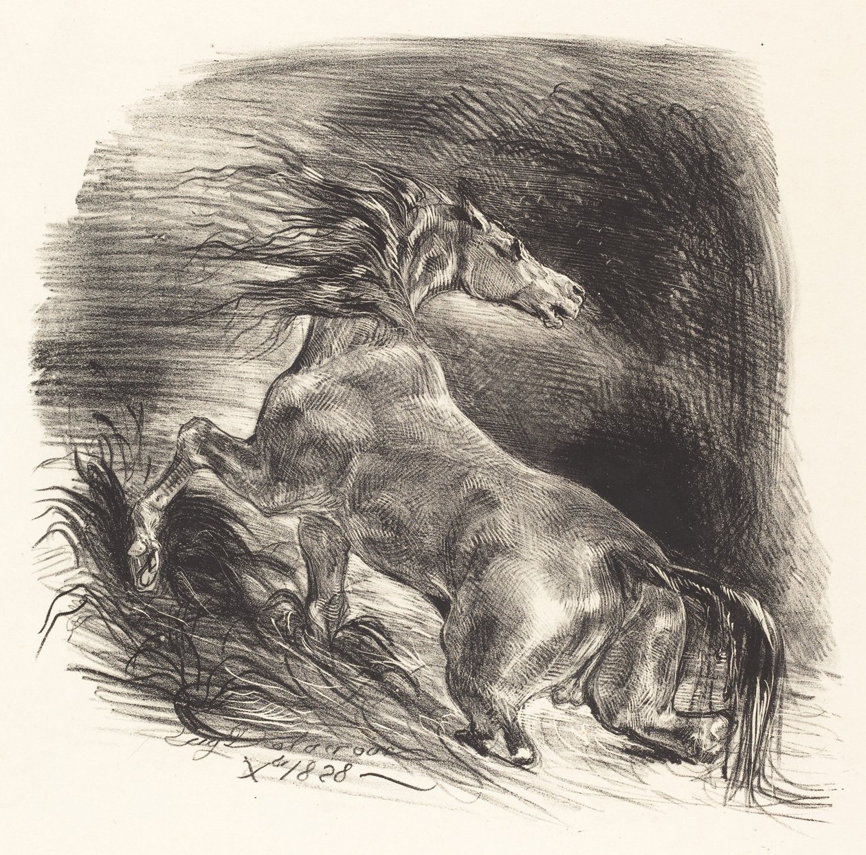 Yabani At Sudan Çıkıyor Cheval sauvage, 1828. by Eugène Delacroix