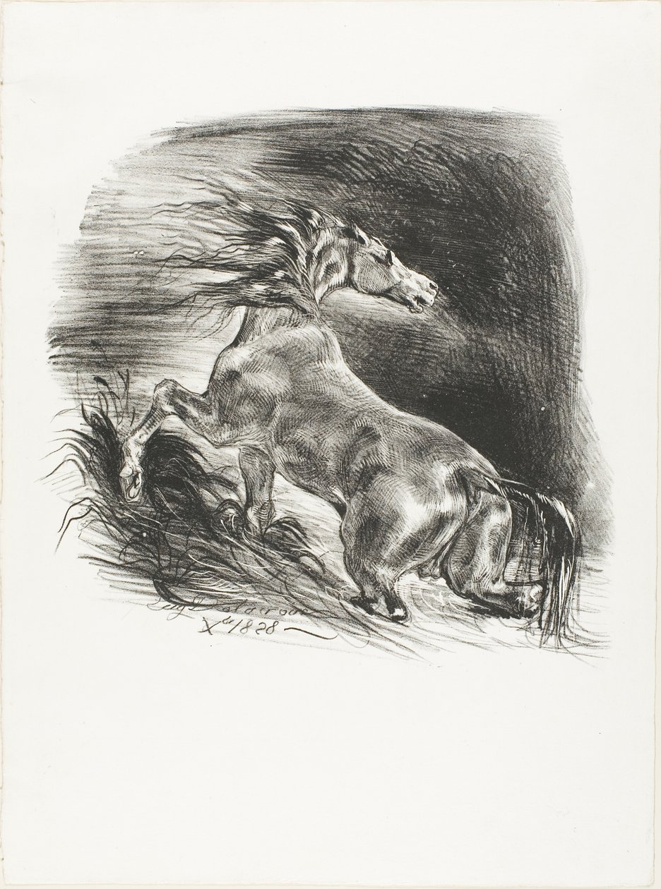 Yabani At veya Suyu Terk Eden Korkmuş At by Eugène Delacroix