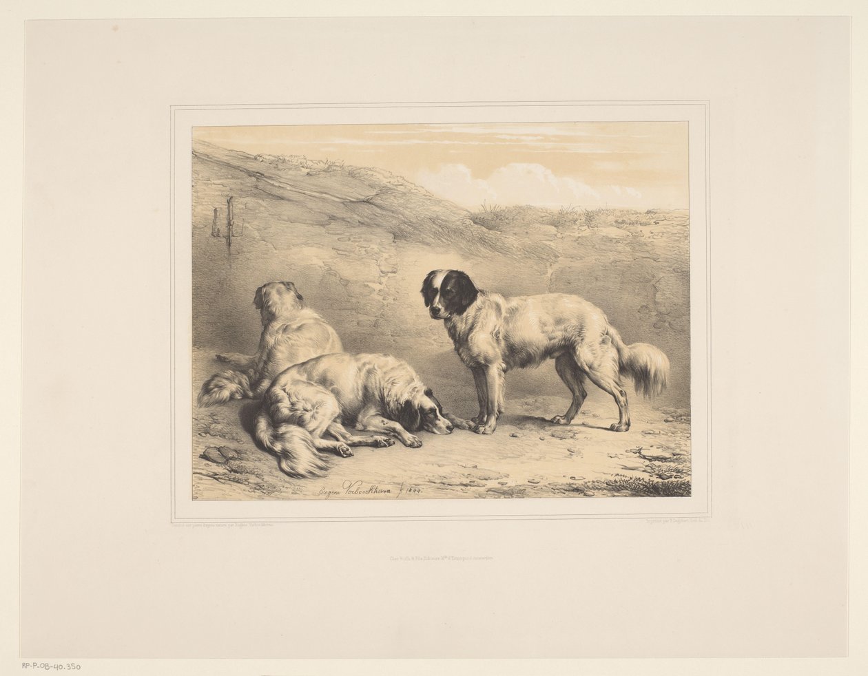 Üç köpek Çeşitli hayvanlar (dizi adı) Études d'Animaux (dizi adı) by Eugène Verboeckhoven