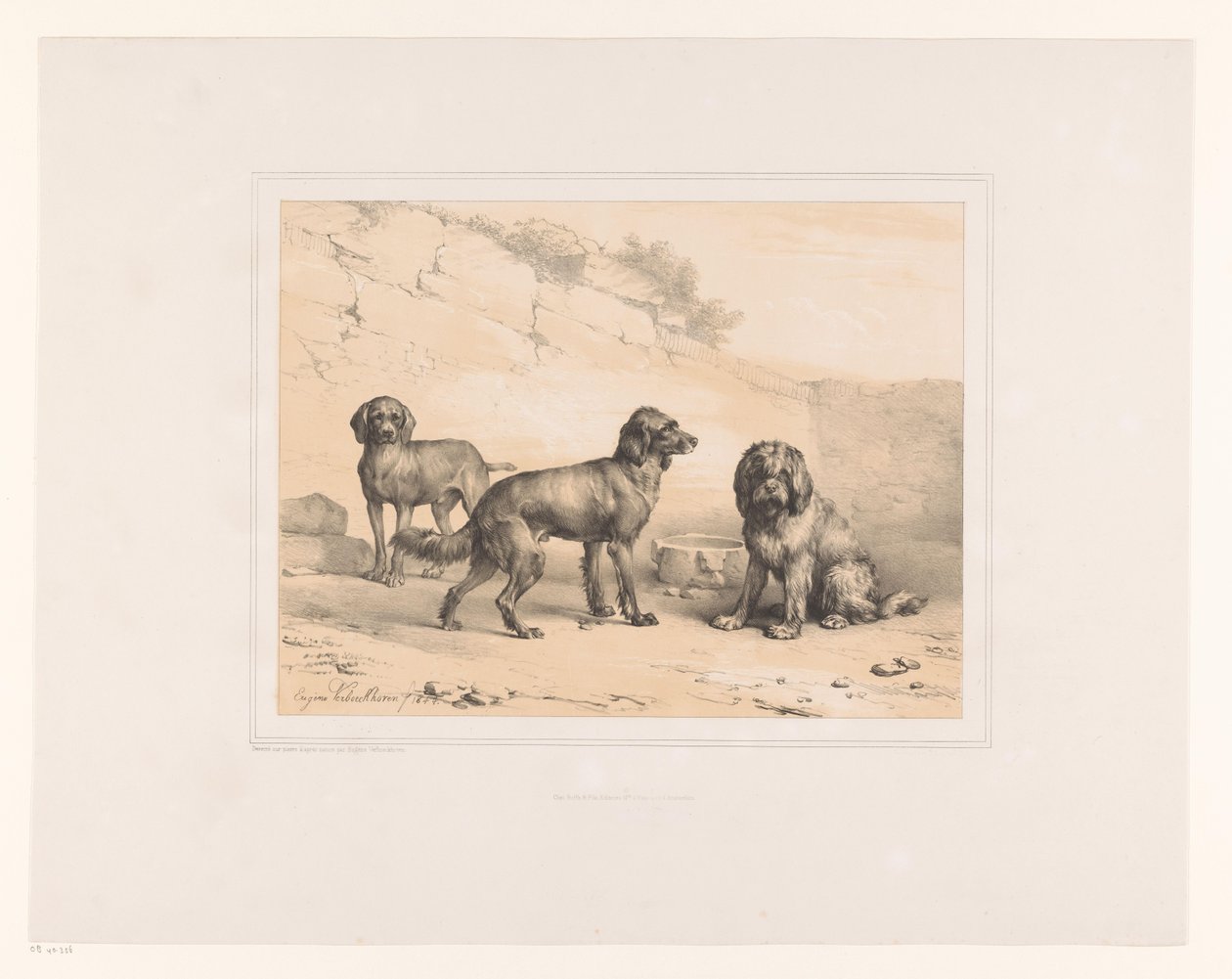 Üç köpek Çeşitli hayvanlar (dizi adı) Études d'Animaux (dizi adı) by Eugène Verboeckhoven
