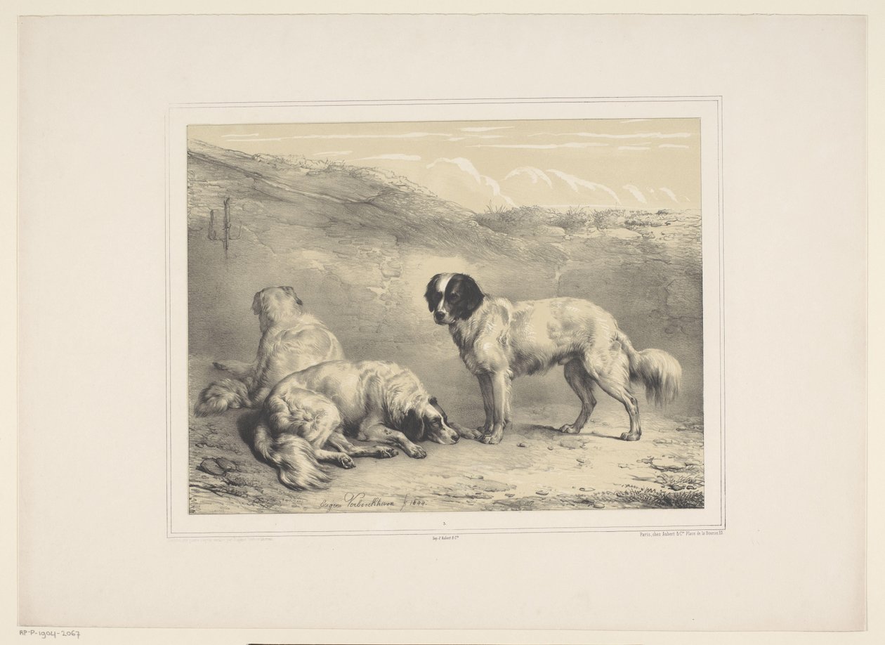 kuru honden Çeşitli tamme dieren (dizi başlığı) On Üç Yerli ve Yerli Hayvan Denek (dizi başlığı) by Eugène Verboeckhoven