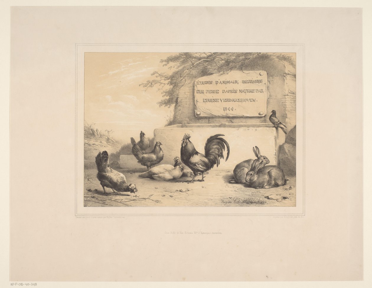 Tavuklar, tavşanlar ve güvercinli başlık baskısı Çeşitli hayvanlar (dizi başlığı) Études d'Animaux (nesne üzerinde dizi başlığı) by Eugène Verboeckhoven