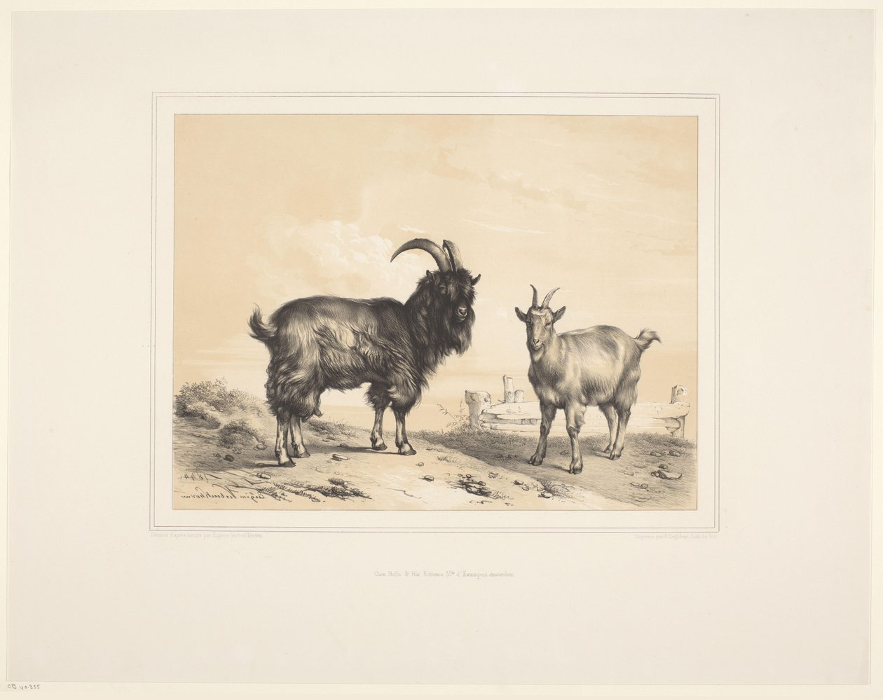 İki keçi Çeşitli hayvanlar (dizi adı) Études d'Animaux (dizi adı) by Eugène Verboeckhoven