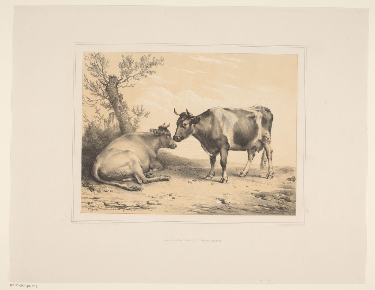 İki inek Çeşitli hayvanlar (dizi başlığı) Études d'Animaux (dizi başlığı) by Eugène Verboeckhoven