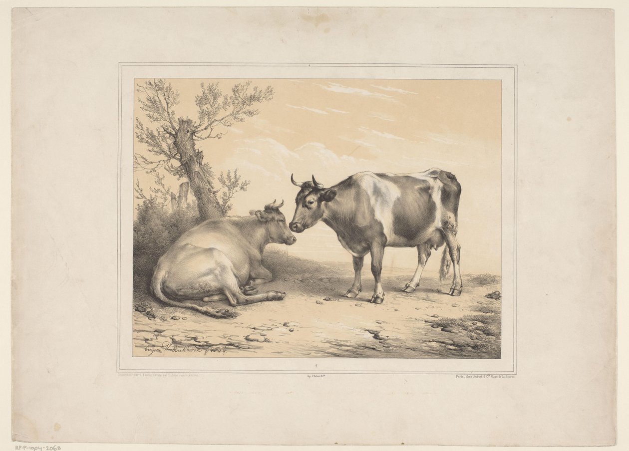 twee koeien Çeşitli tamme dieren (dizi başlığı) On Üç Yerli ve Yerli Hayvan Denek (dizi başlığı) by Eugène Verboeckhoven