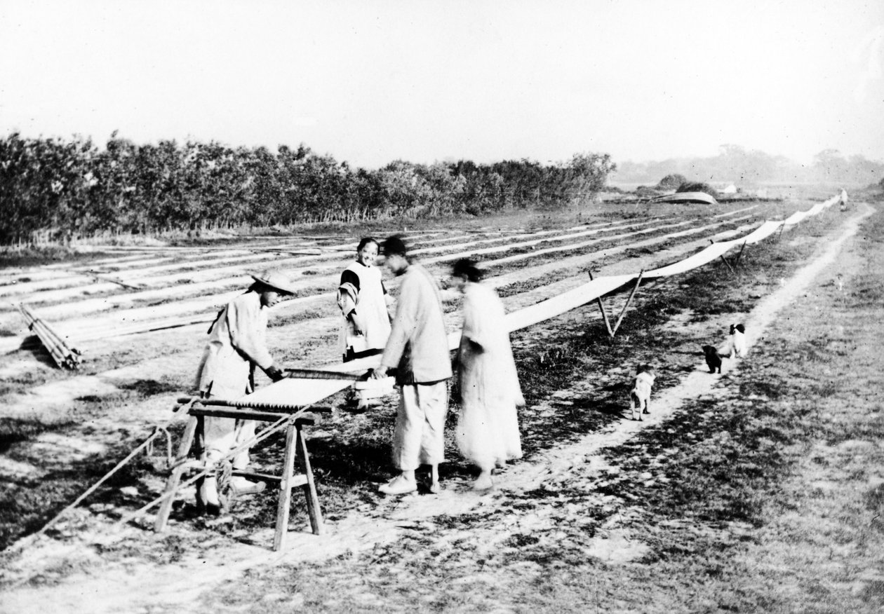 Çinli Dokumacılar, c.1870-80 by European Photographer