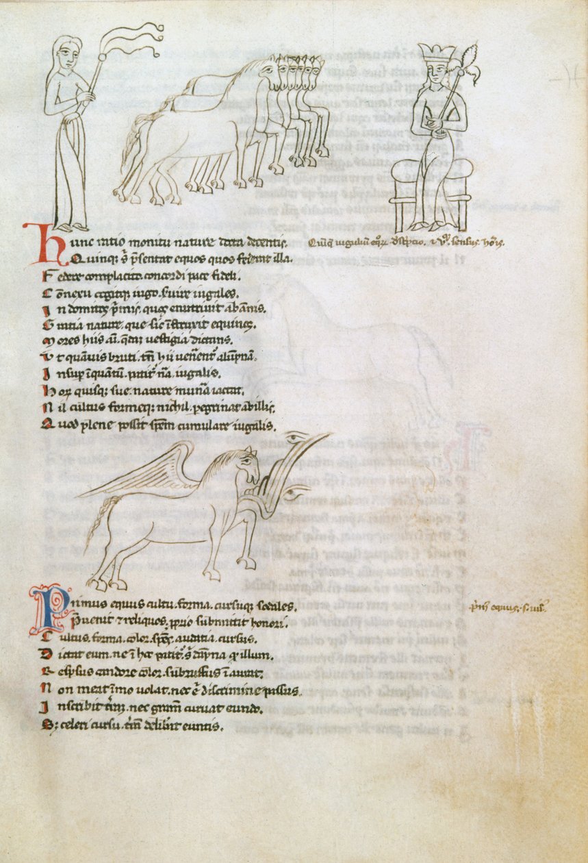 Bestiary: The Horse (parşömen üzerine mürekkep) by European School