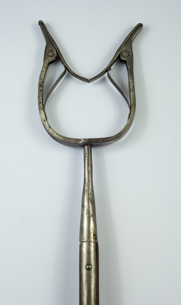 Catchpole (steel, iron & wood) by European School