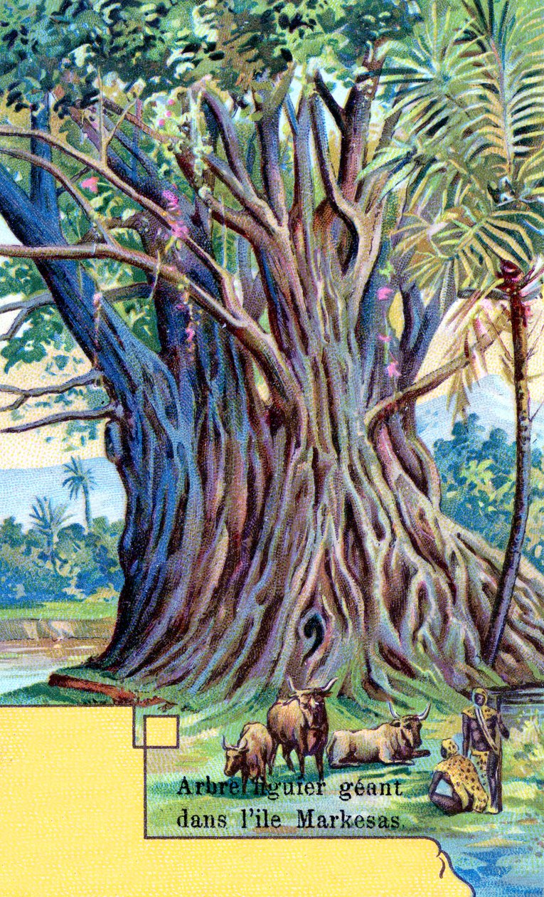 Anna Maria Körfezi, Nuku Hiva, Marquesas Adaları