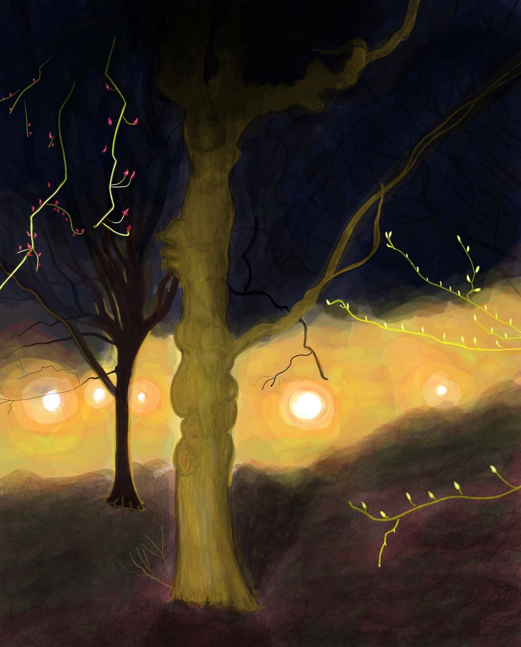  by Evan Sklar