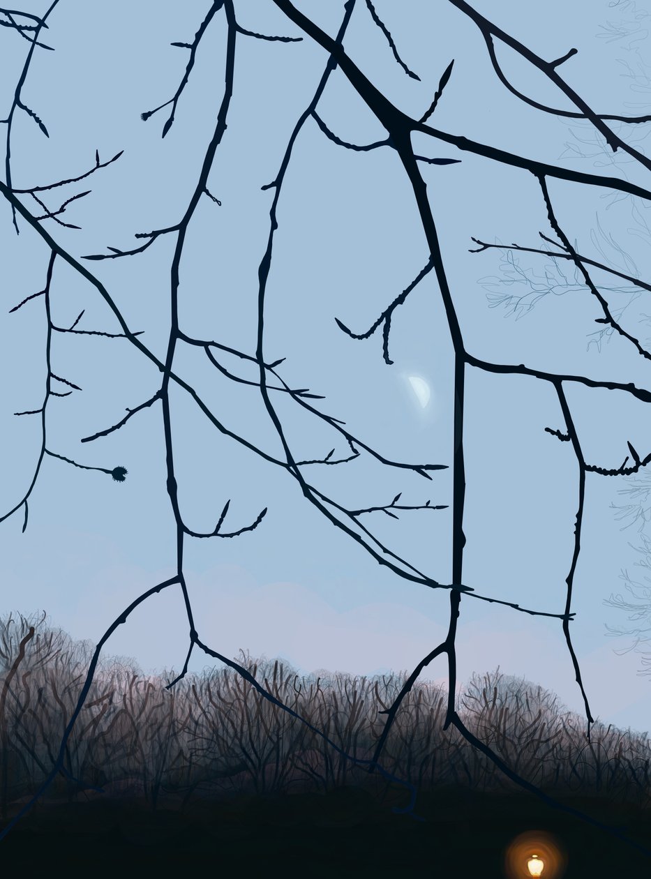  by Evan Sklar