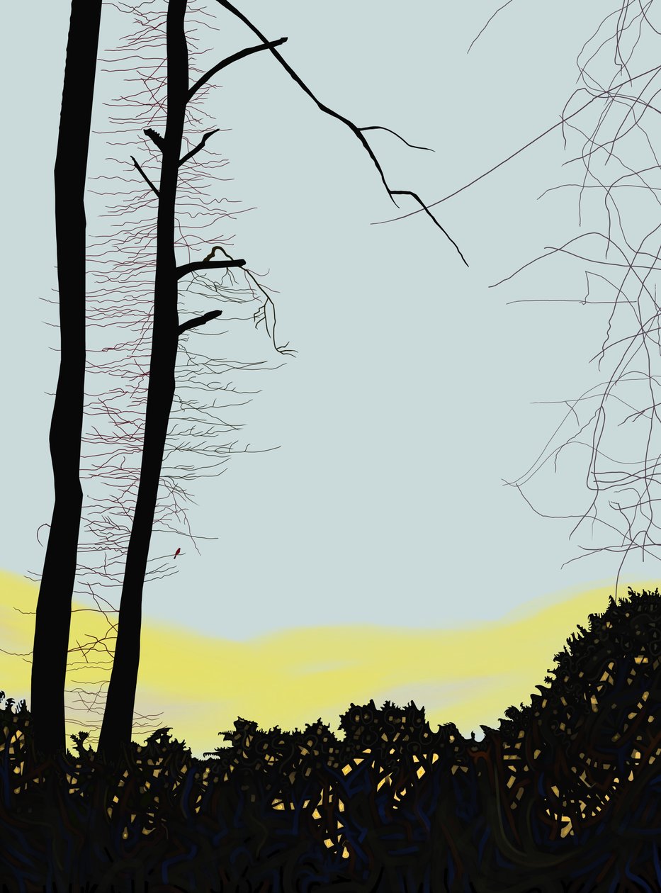  by Evan Sklar