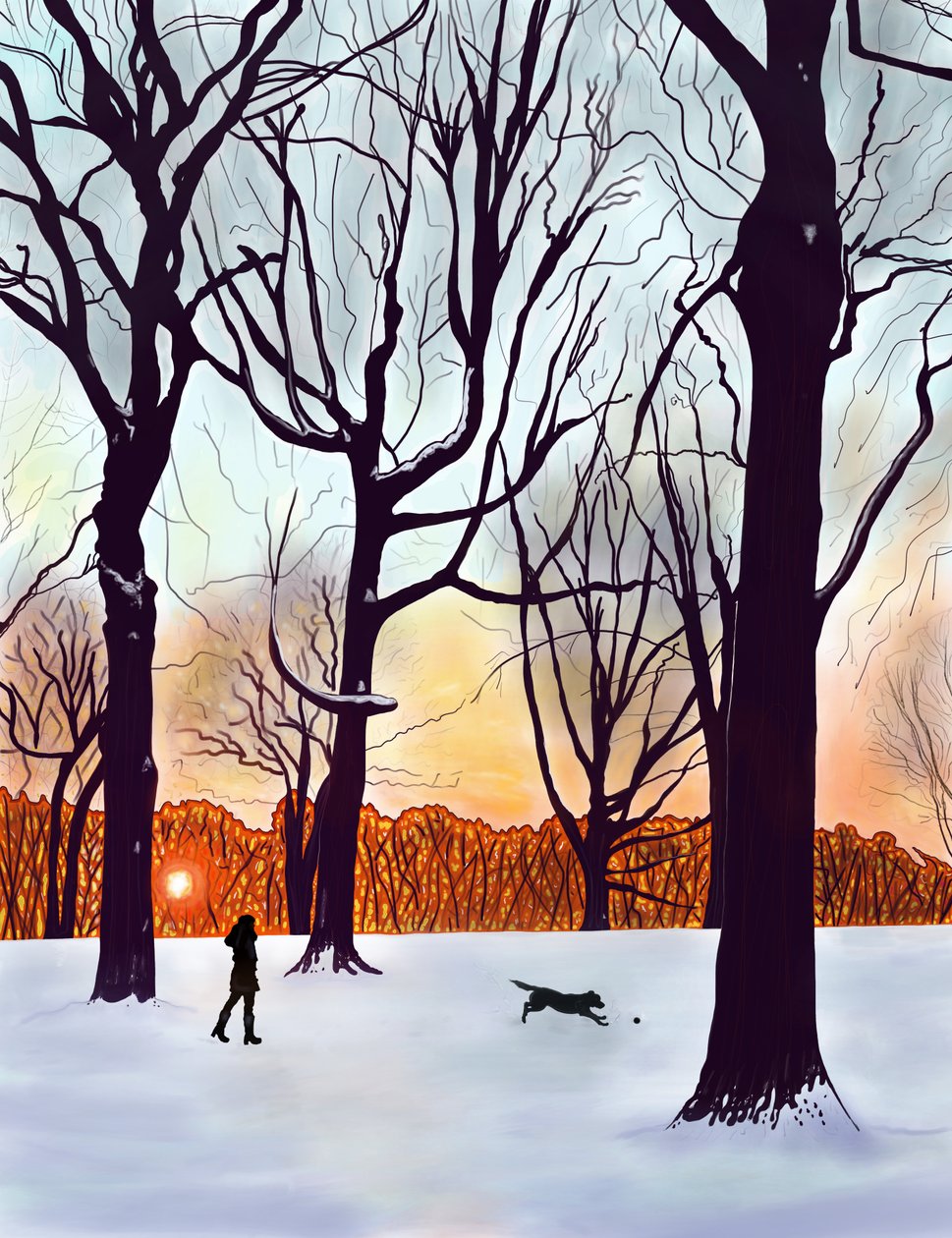  by Evan Sklar
