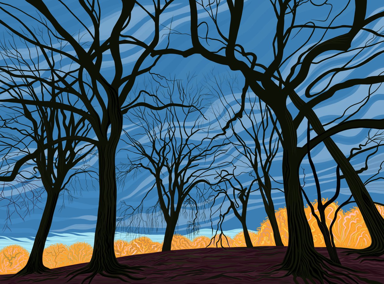  by Evan Sklar