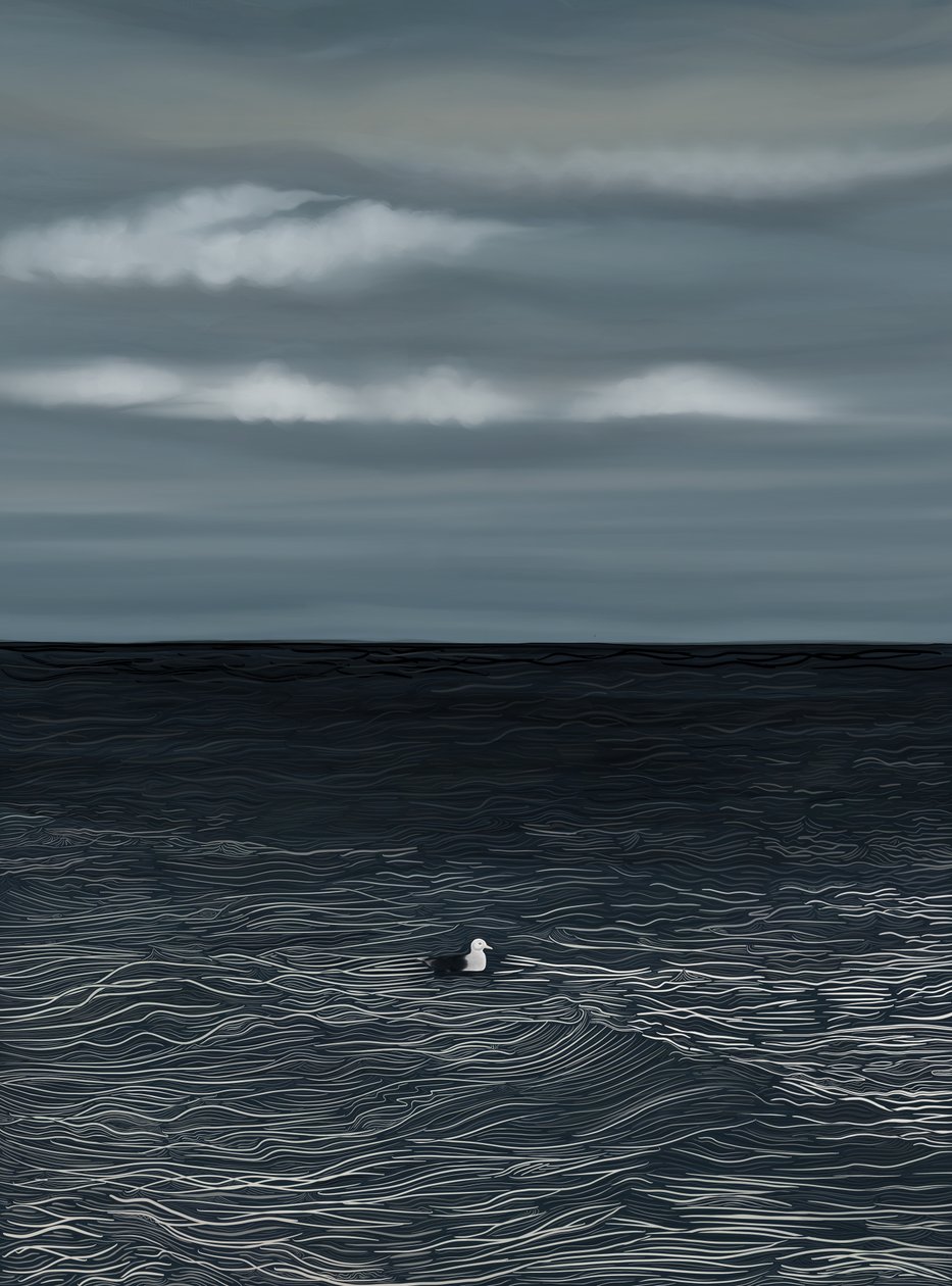  by Evan Sklar