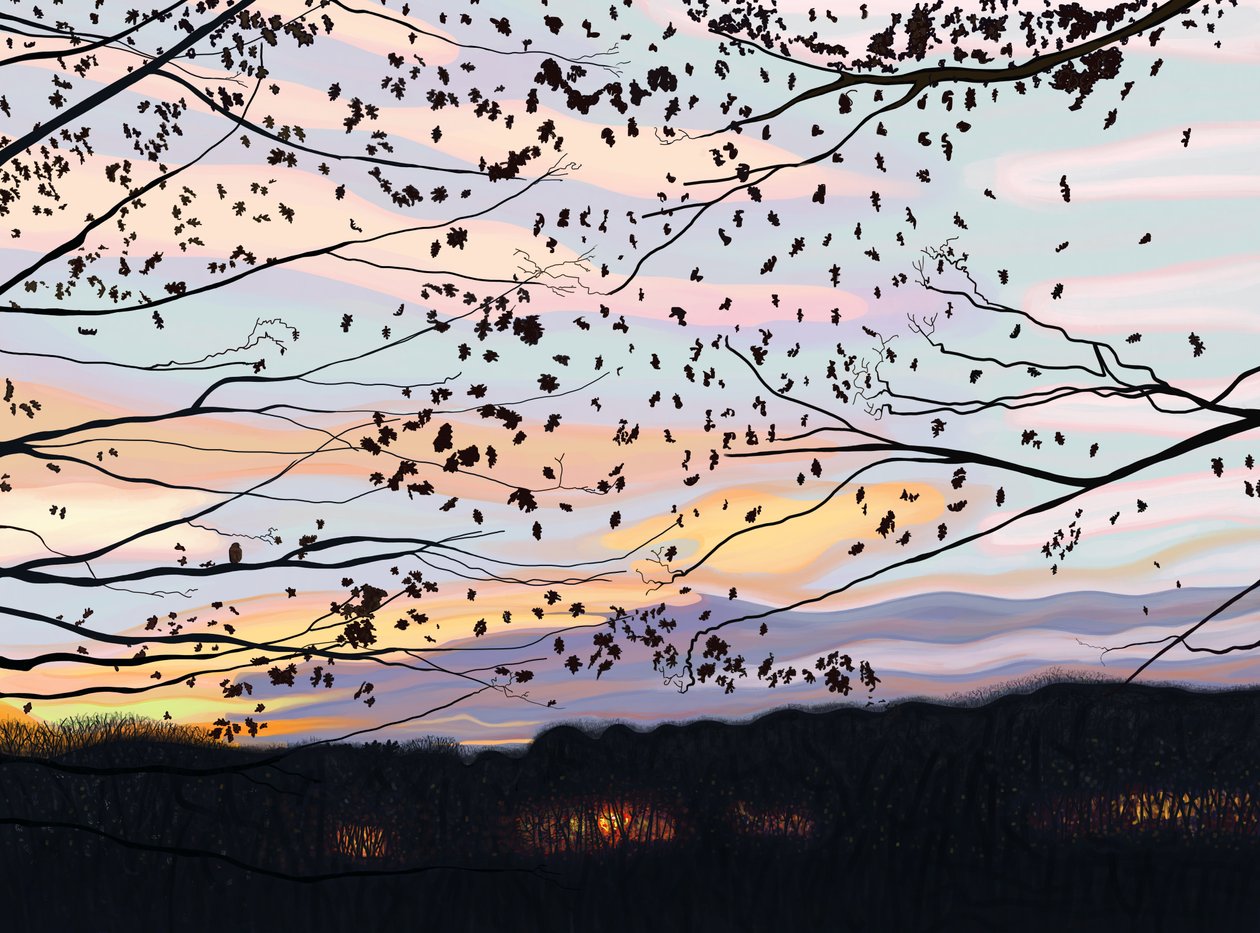  by Evan Sklar