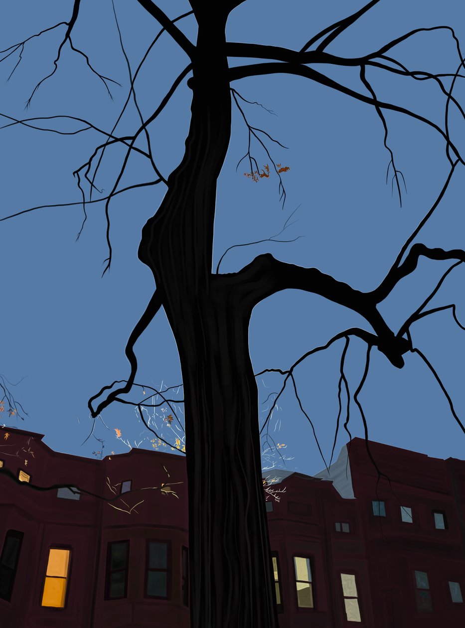  by Evan Sklar