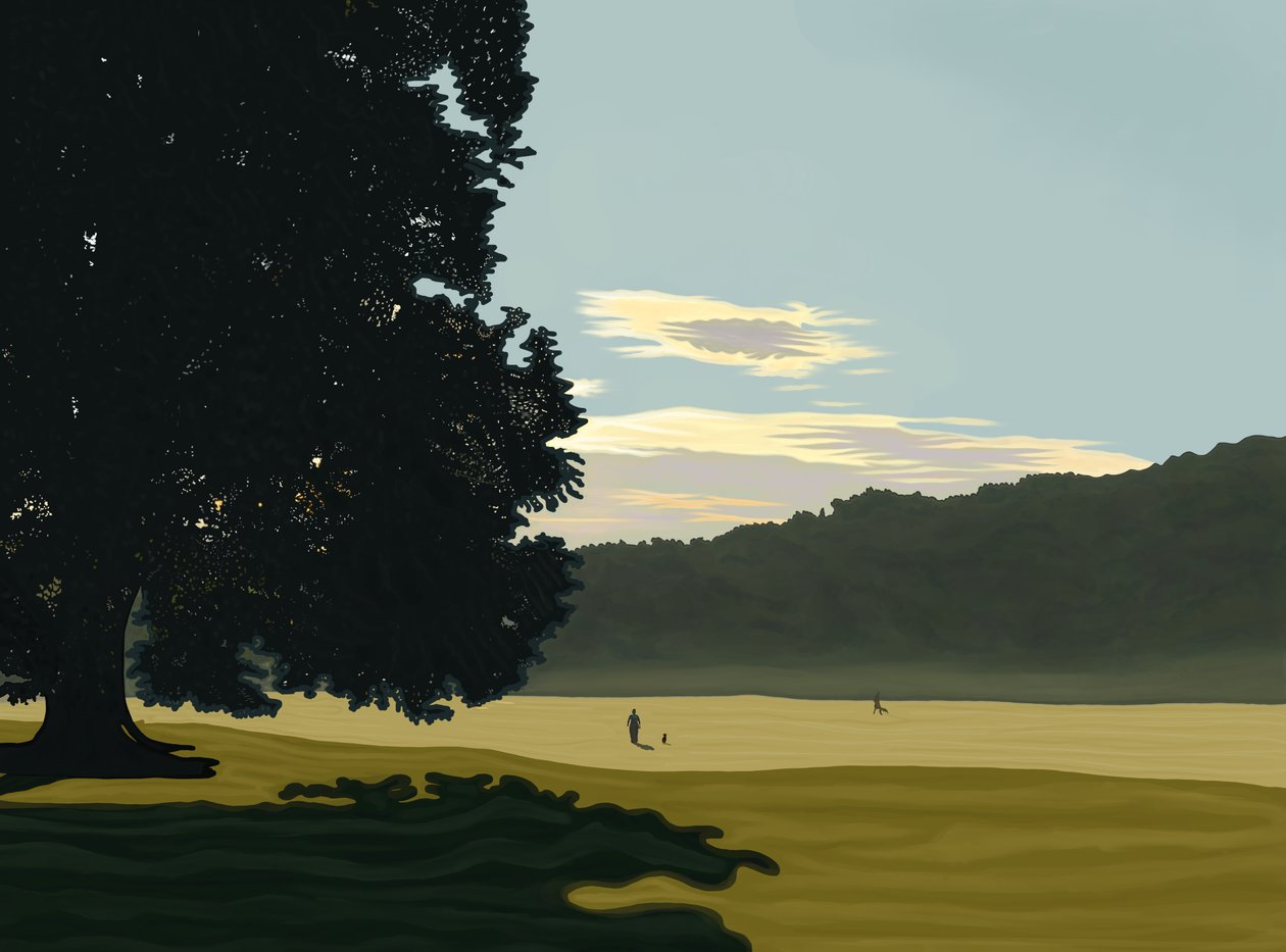  by Evan Sklar