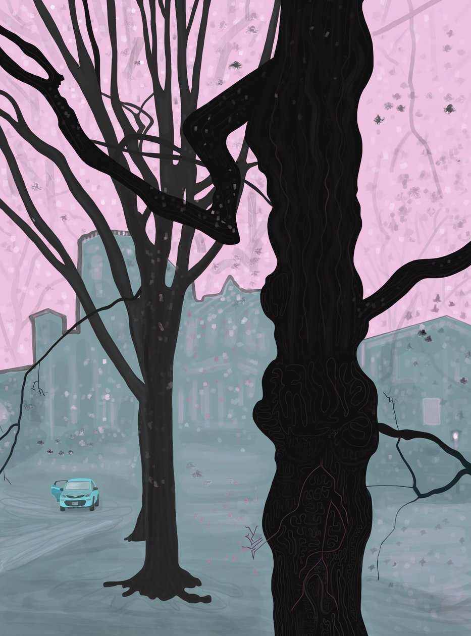  by Evan Sklar