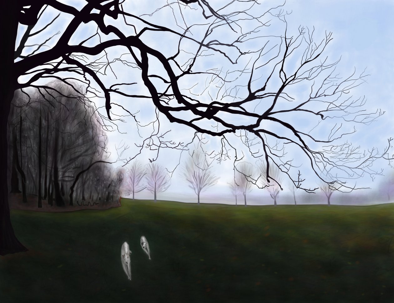  by Evan Sklar