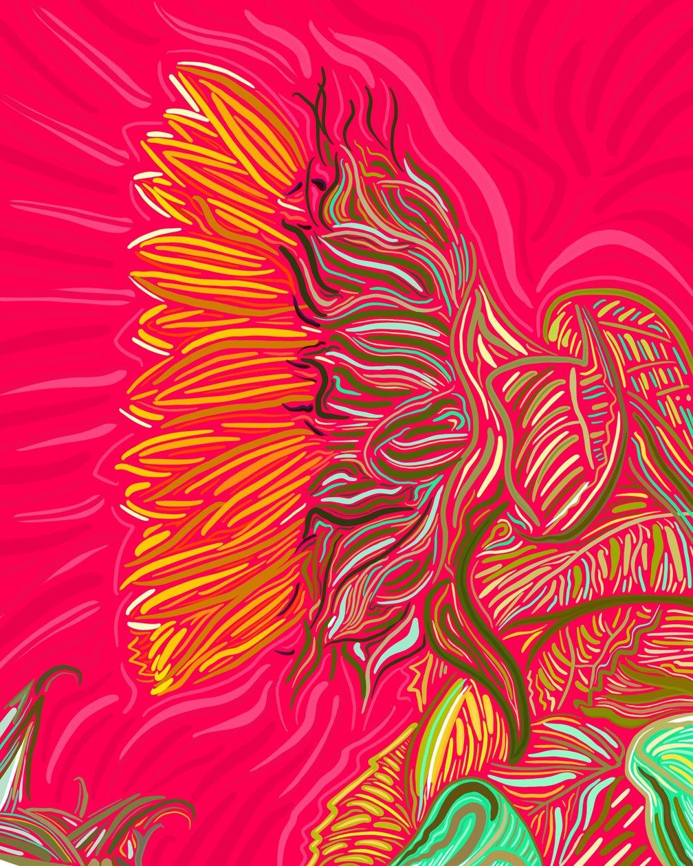  by Evan Sklar