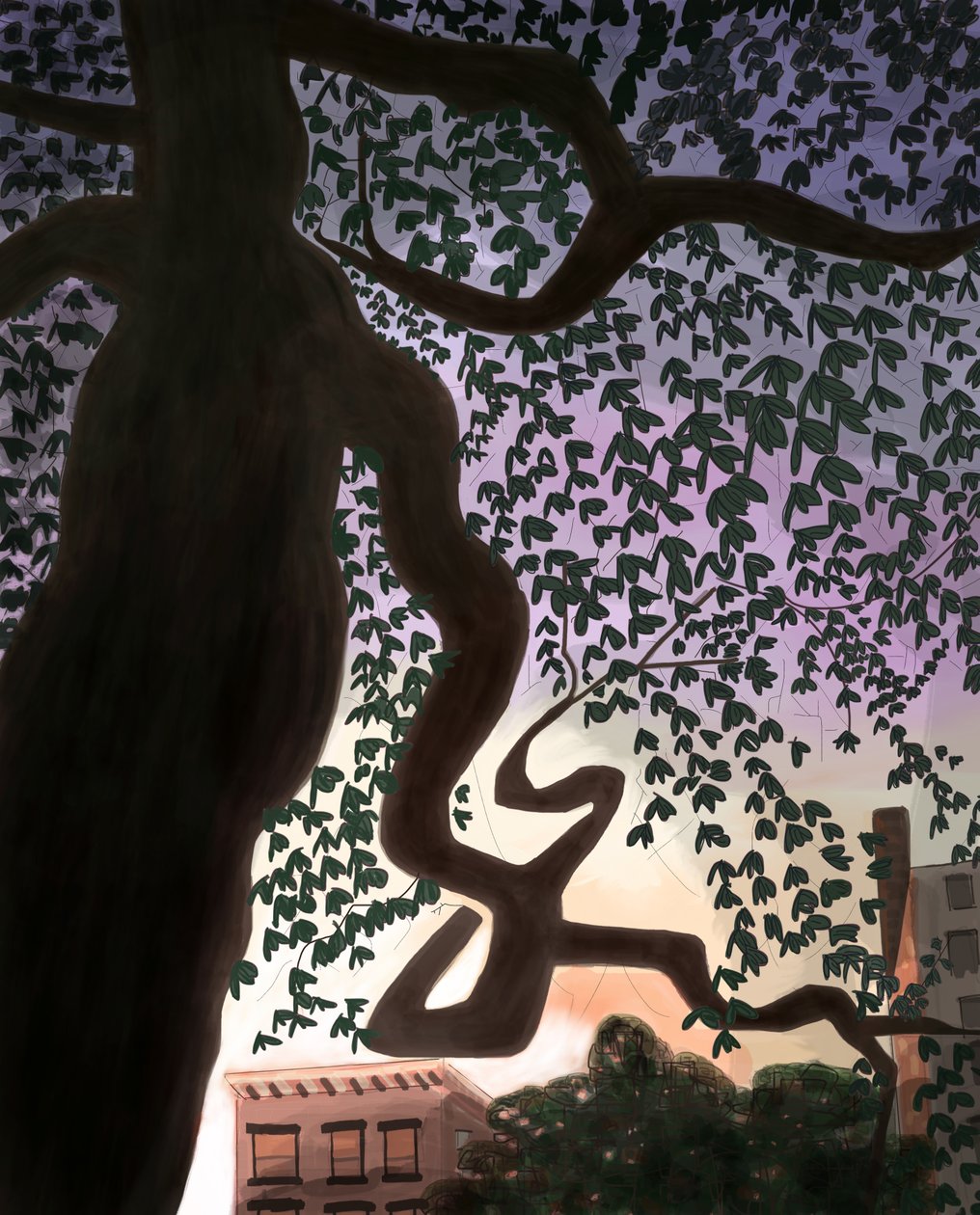  by Evan Sklar