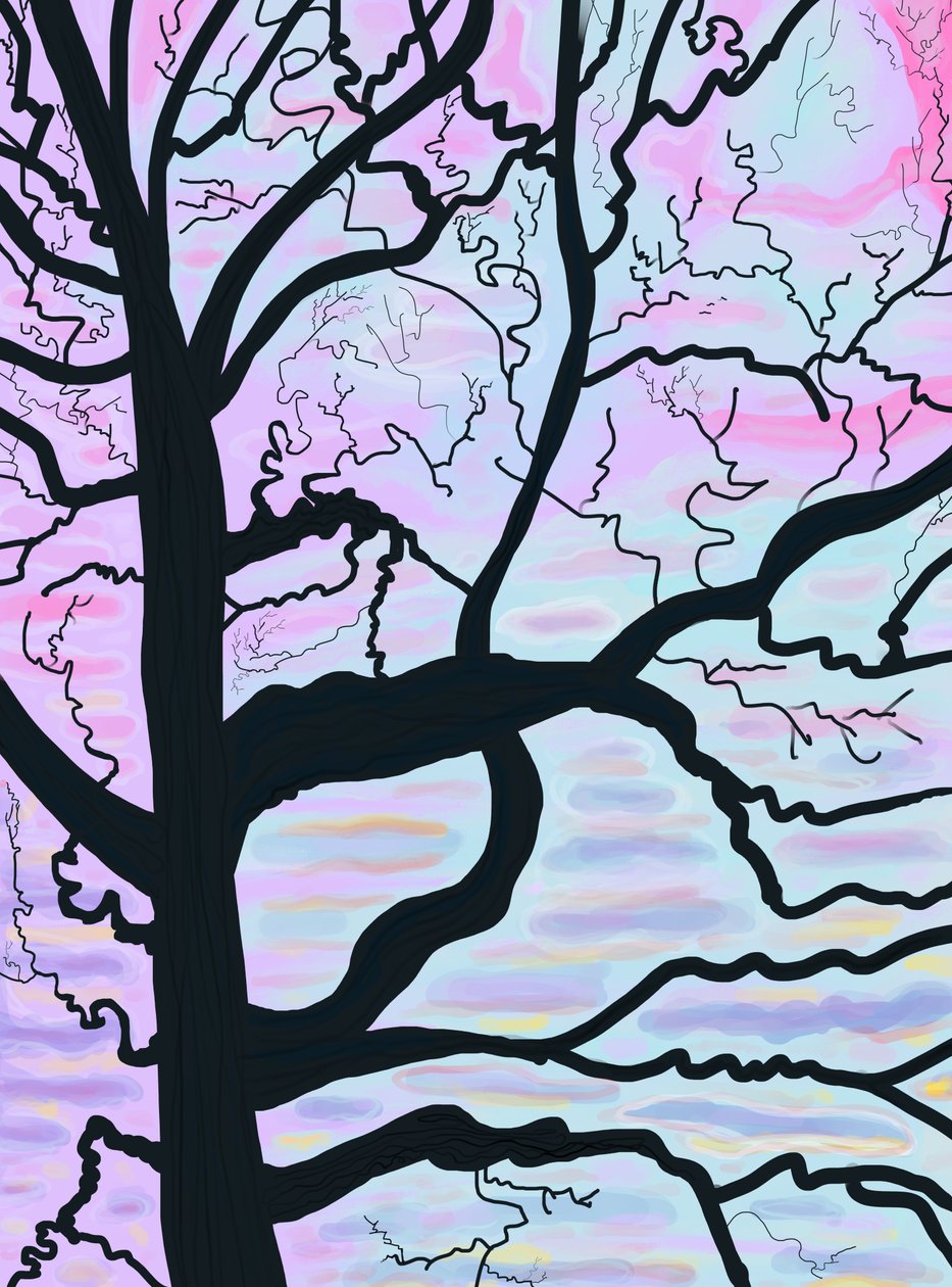 by Evan Sklar