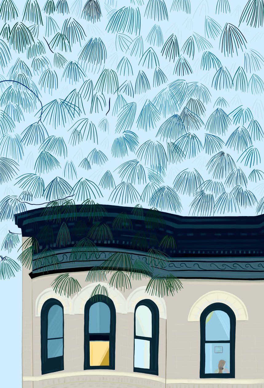  by Evan Sklar
