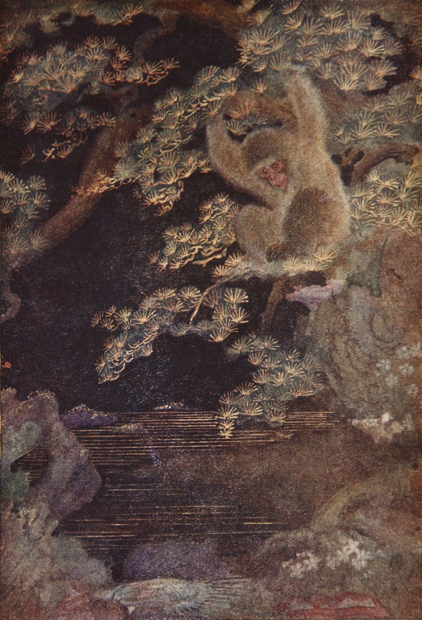 Denizanası ve Maymun, F. Hadland Davis