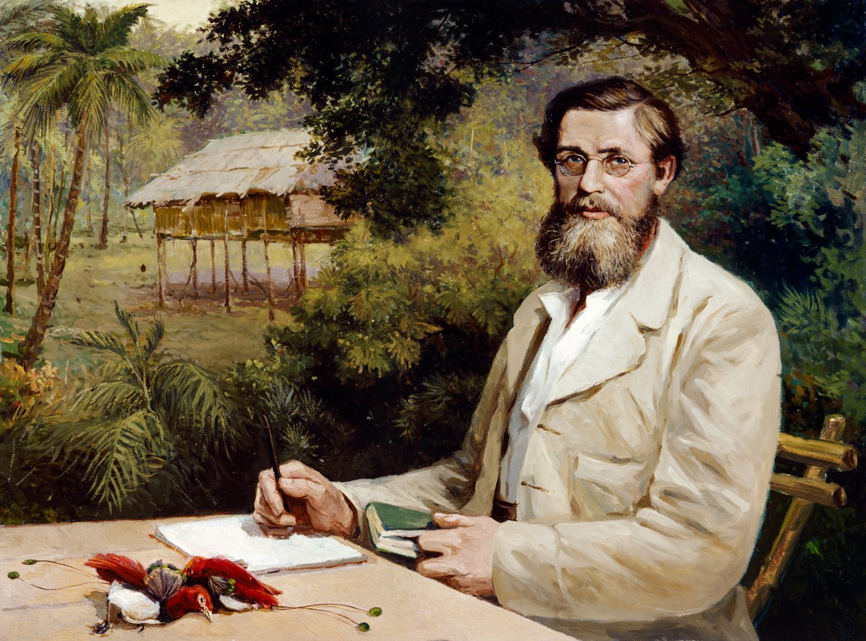 Alfred Russel Wallace (tuval üzerine yağlıboya) by Evstafieff Evstafieff