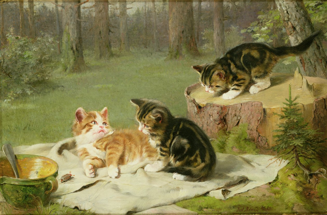 oynayan yavru kedi by Ewald Honnef