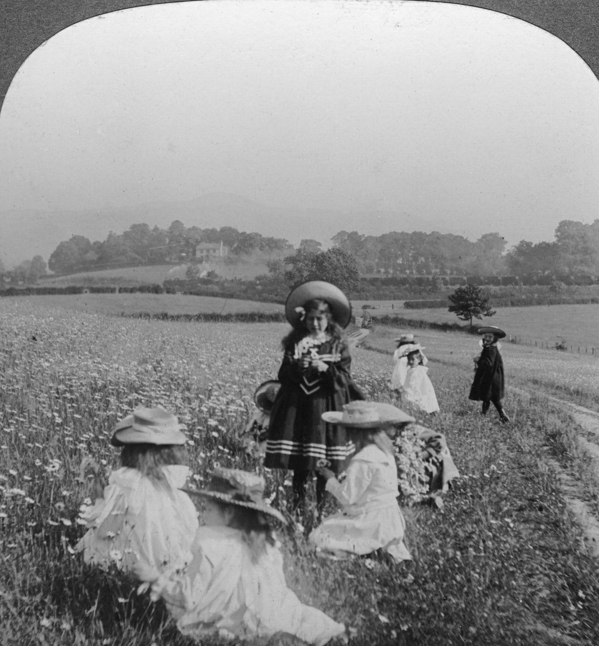 Çayırdaki çocuklar, Keswick, Cumbria. by Excelsior Stereoscopic Tours