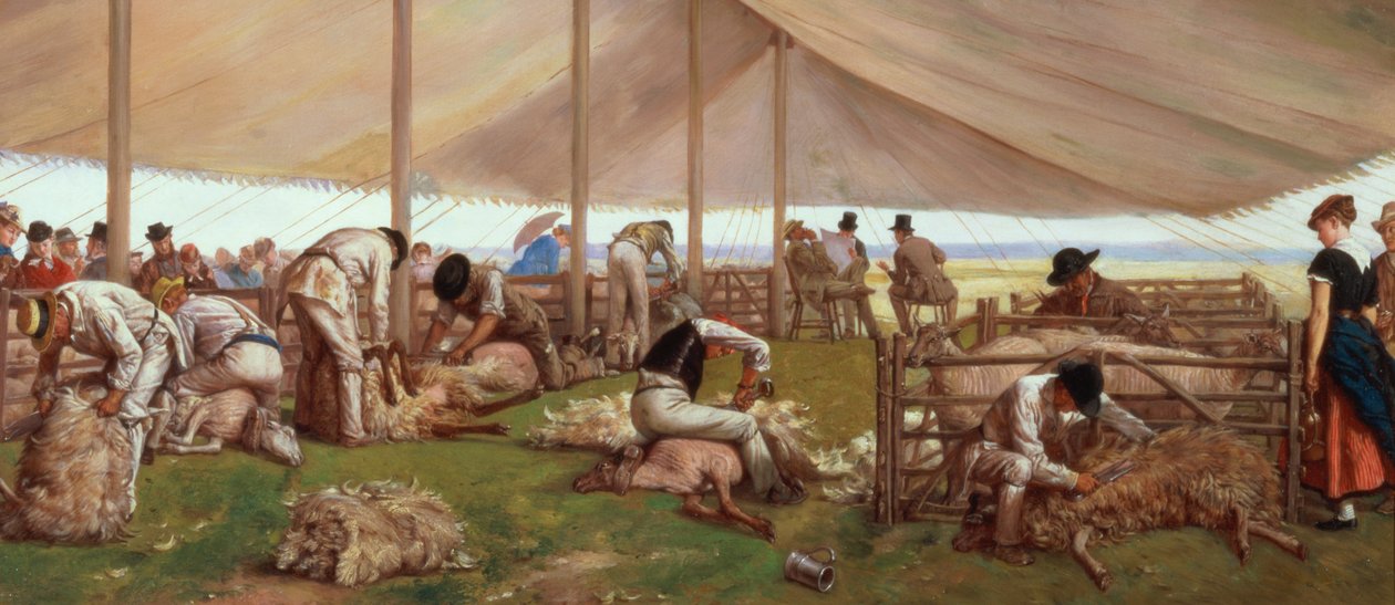Koyun Kırkma Maçı, 1875 by Eyre Crowe