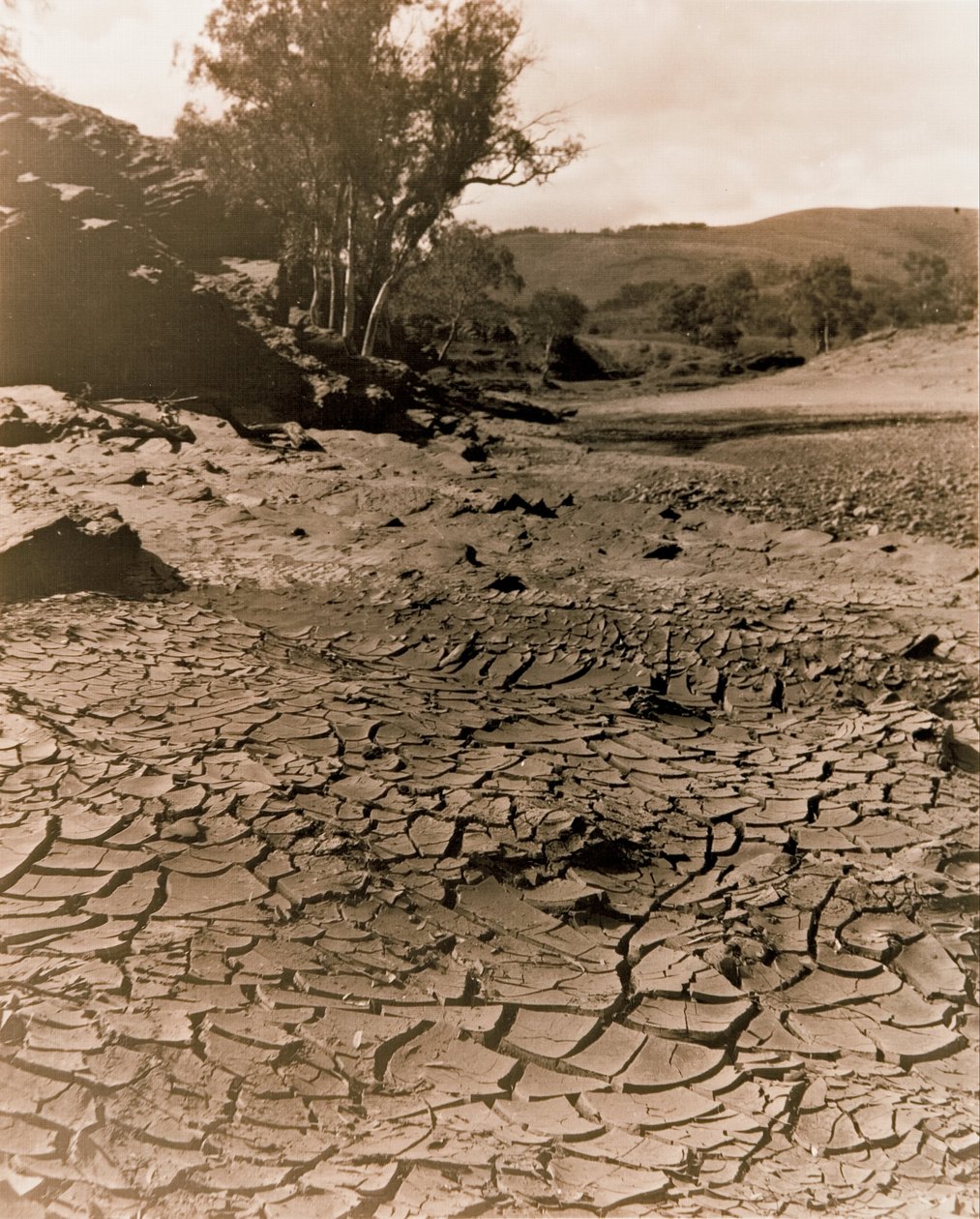 Kaybolan havuz, Flinders Ranges by F. A. Joyner
