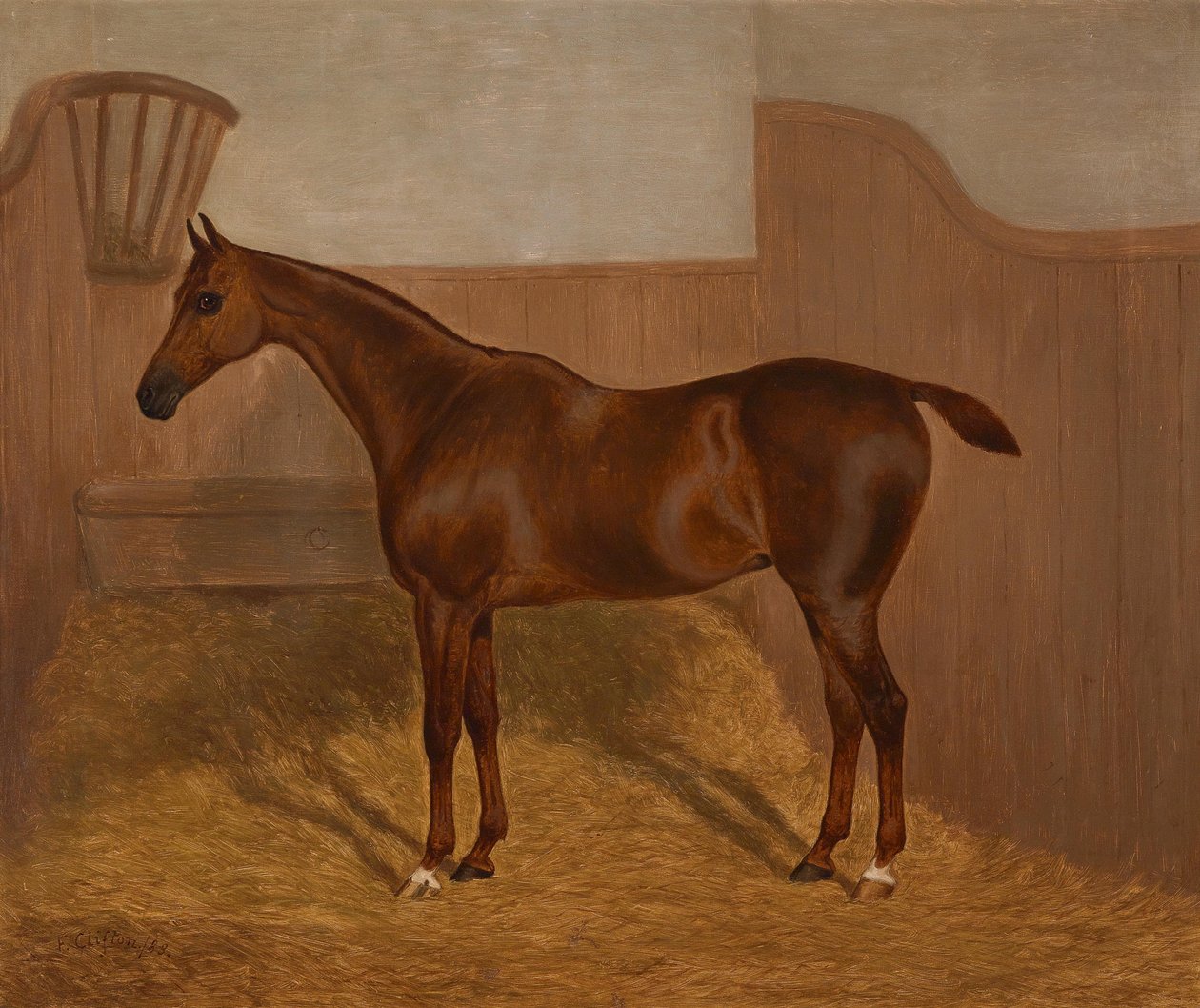 At portresi (Lady Oswestry veya Dandy, bu isimlerle tek partide sunulan iki resimden biri) by F. Clifton
