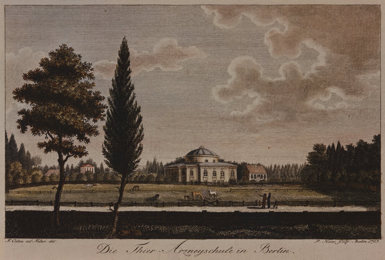 Veteriner Okulu, Berlin, 1795 (gravür) by F.A. Calau