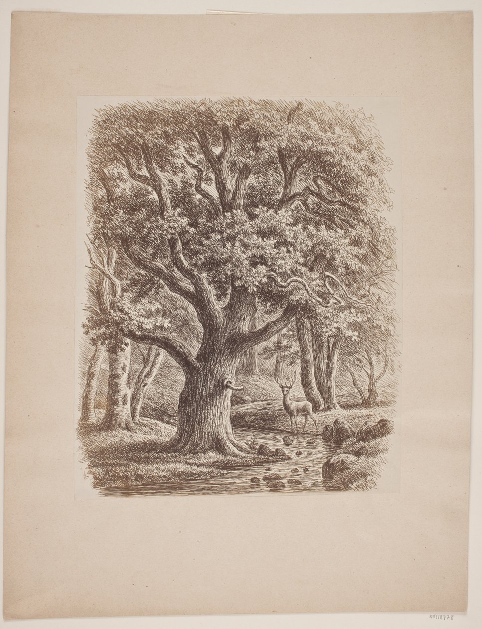 Bir dere ve bir geyik ile orman rüzgarları by F.C. Kiærskou