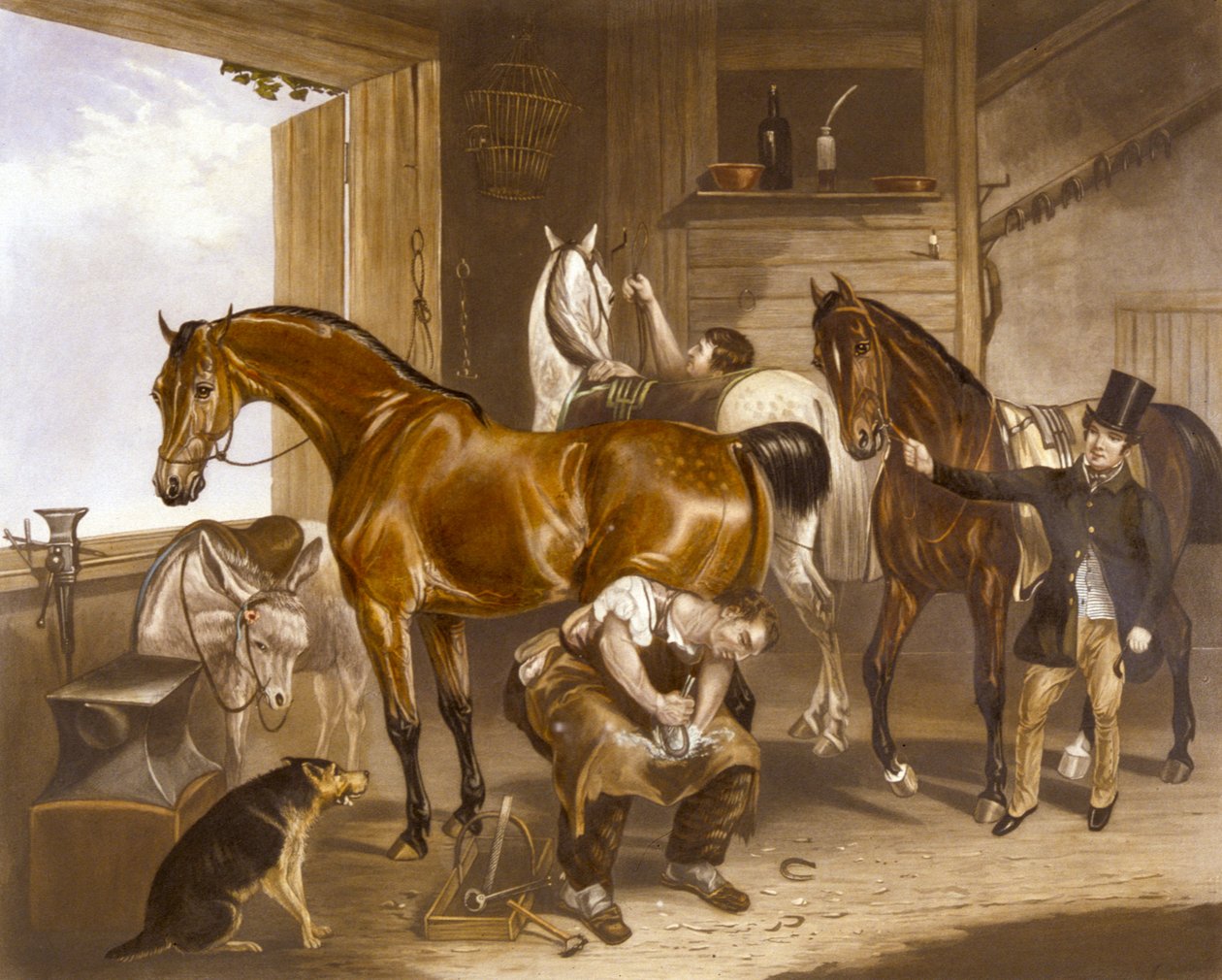 Veteriner, J.R. Mackrell tarafından oyulmuş (renkli taş) by F. C. (after) Turner