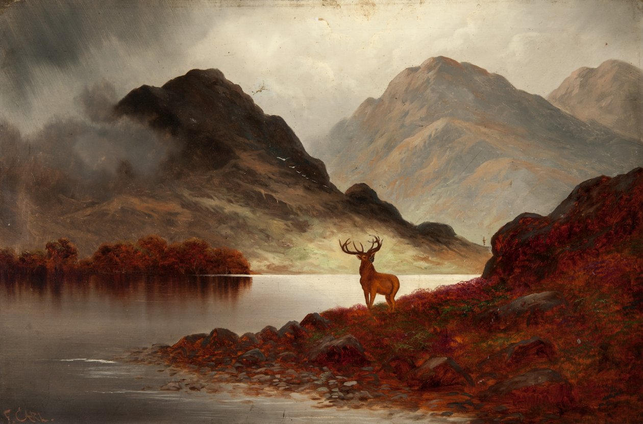 Bay Geyik (tuval üzerine yağlı boya) by F. Carl