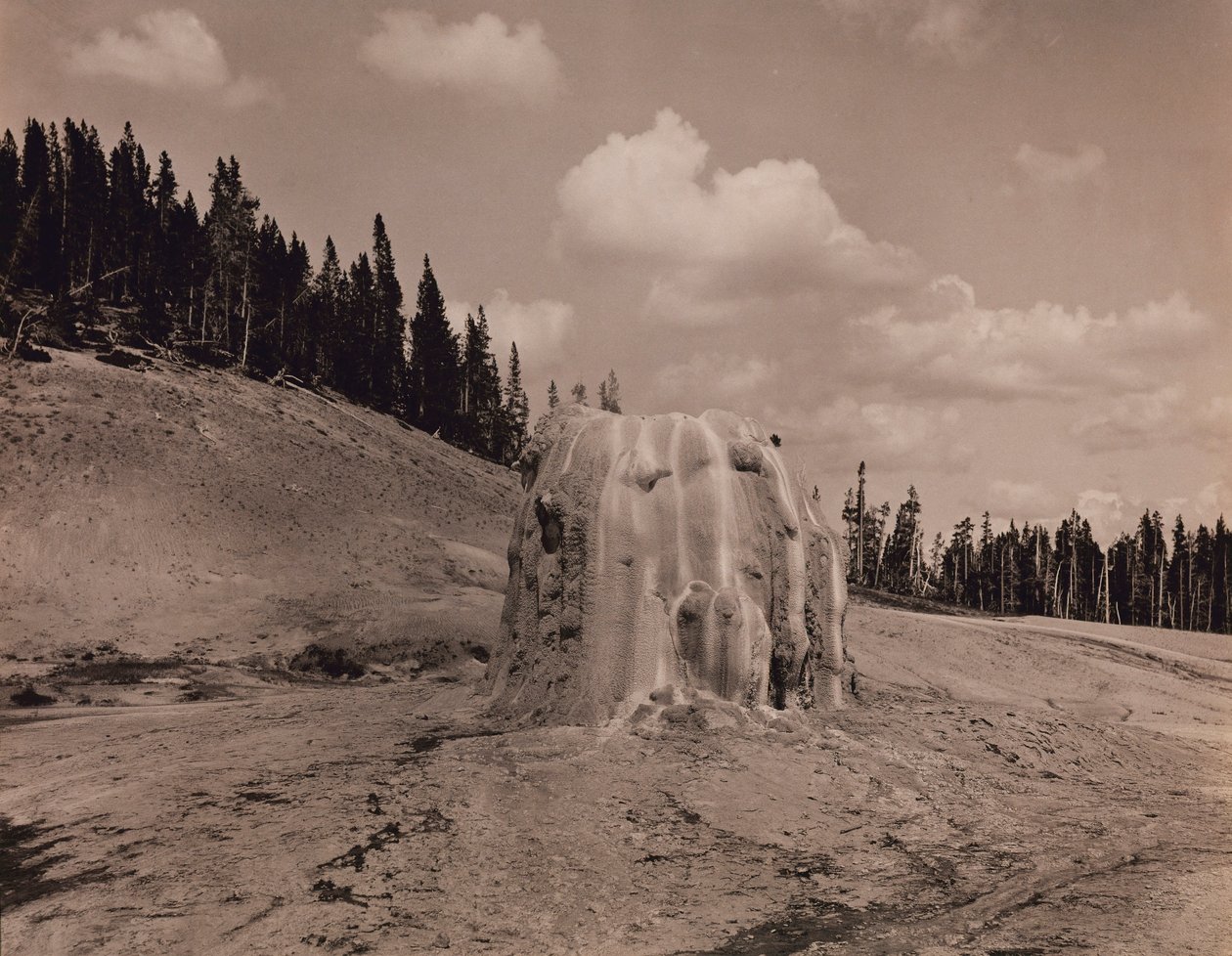  by F. Jay Haynes
