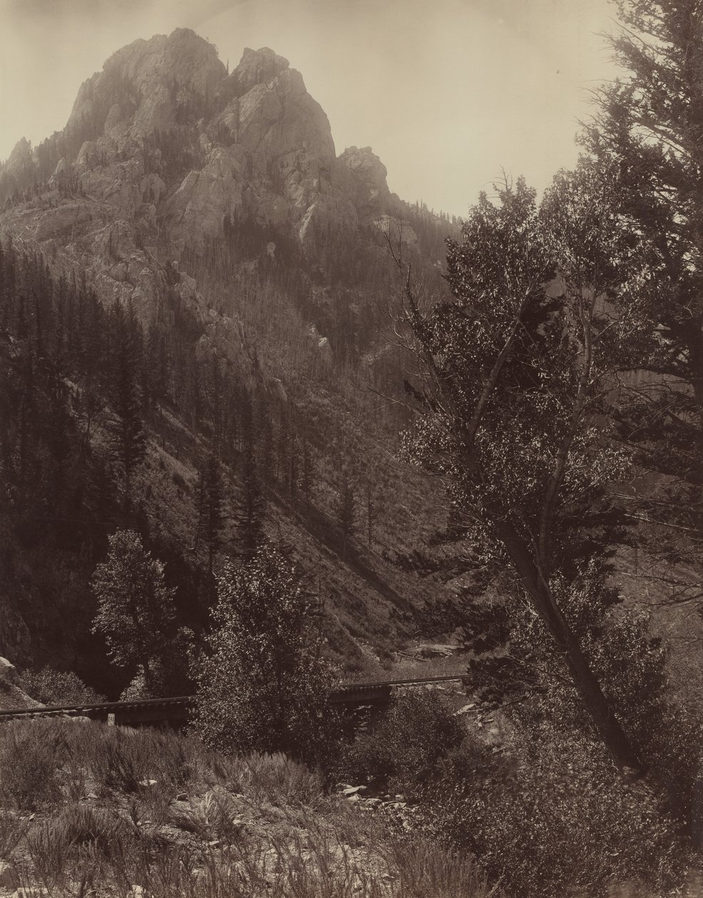 İsimsiz, c. 1884. by F. Jay Haynes
