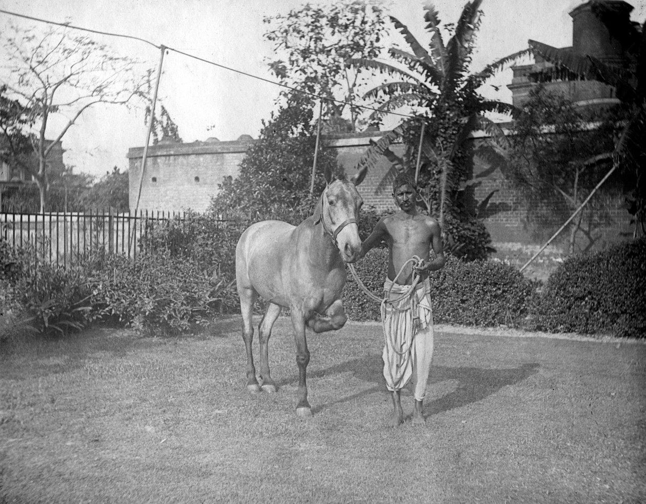 Atlı adam, Alipore, Hindistan, 1905-1906 by F. L. Peters