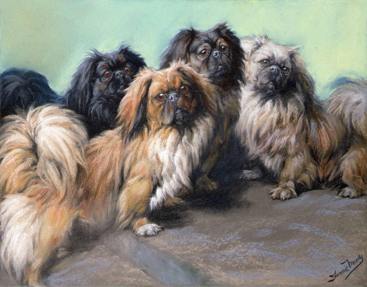 Şımarık Darlings (renkli tebeşir) by Fannie Moody