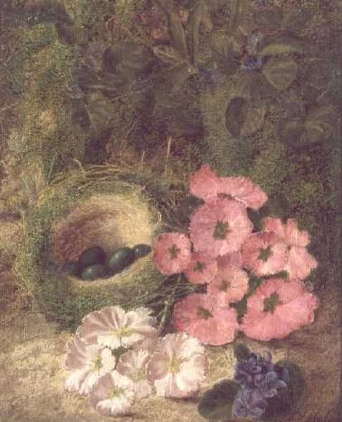Bahar (köpek güllü yuva) by Fanny Jane Bayfield